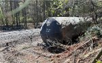 Tank car derailed